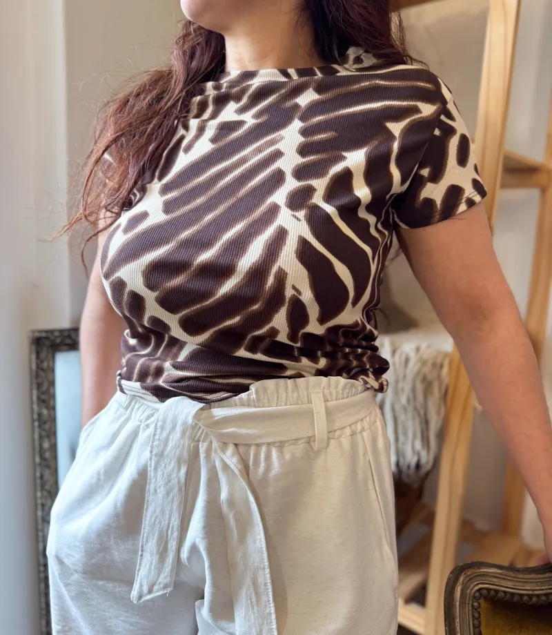 Remerita azebrada, foto 1