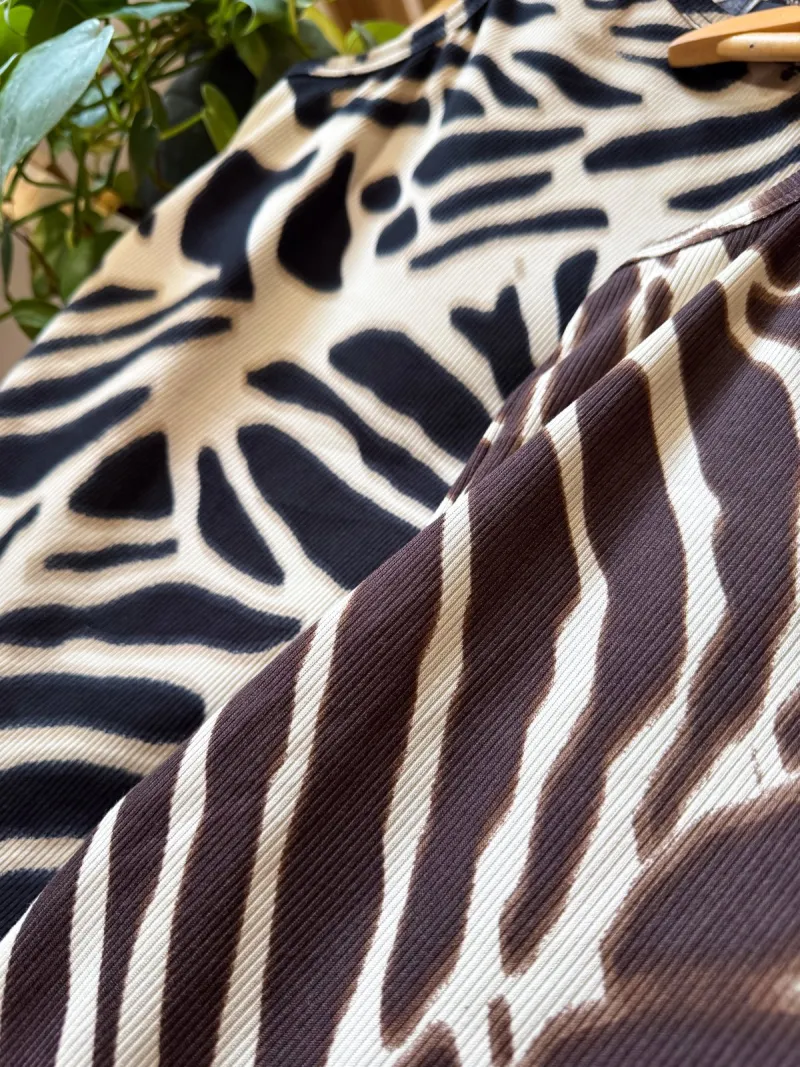 Musculosa azebrada, foto 8