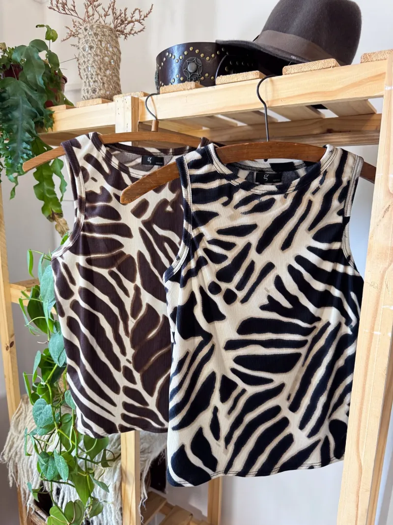 Musculosa azebrada, foto 3