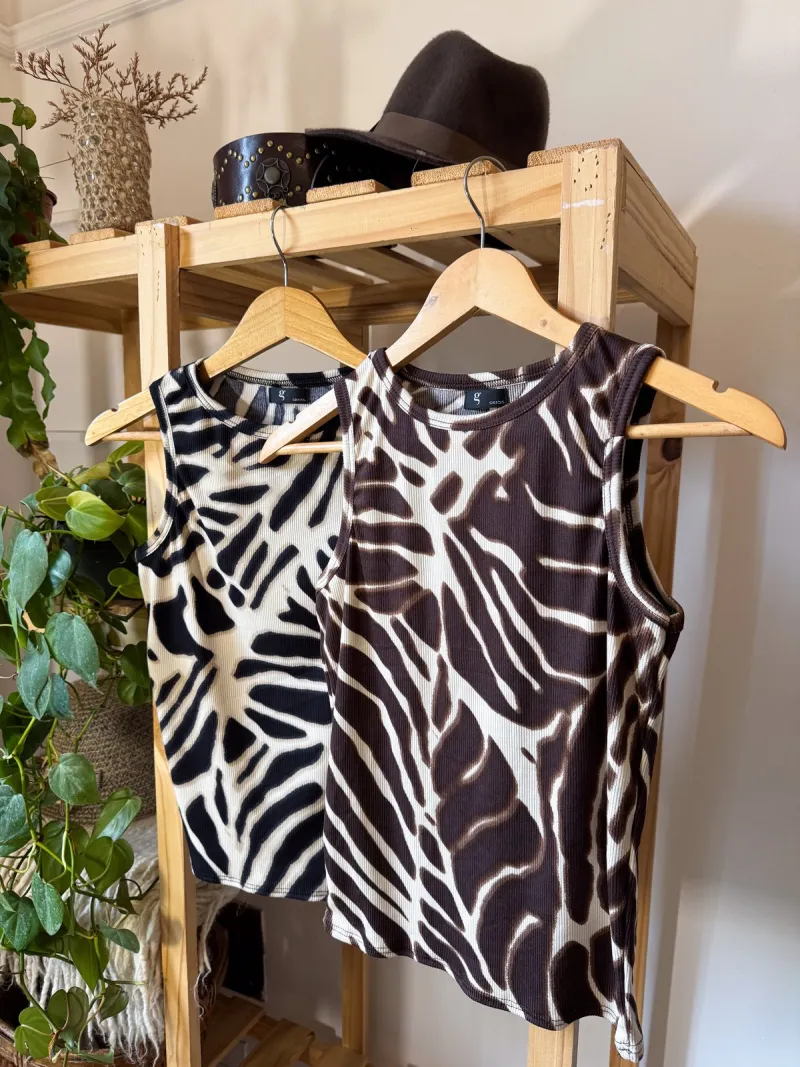 Musculosa azebrada, foto 4
